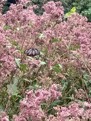 十二山神社(群馬県)