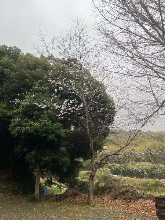 三浦正八幡宮(神奈川県)