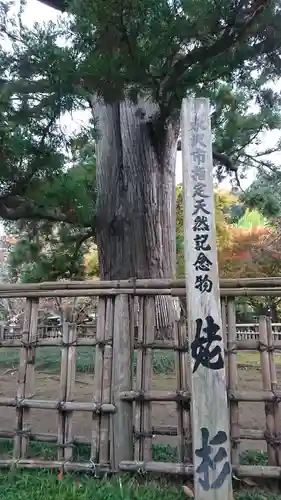 日高神社の自然