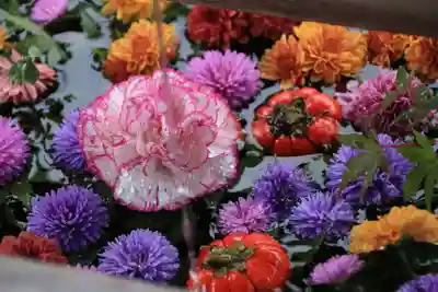 豊景神社の手水舎