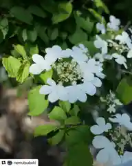 普門寺(切り絵御朱印発祥の寺)(愛知県)