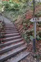 禅林寺（永観堂）の建物その他