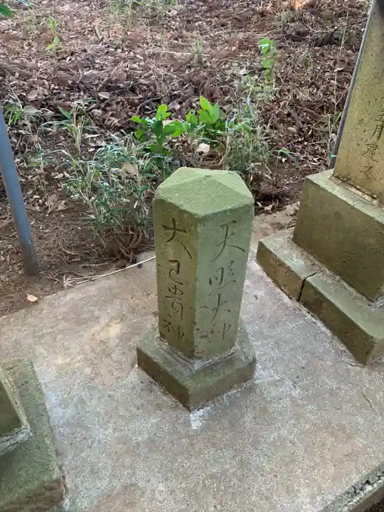 大蛇摩賀多神社(千葉県)