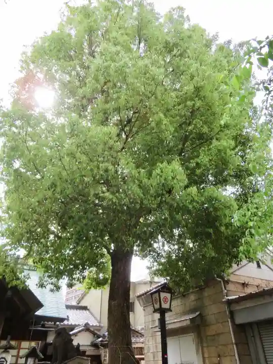 三島神社の自然