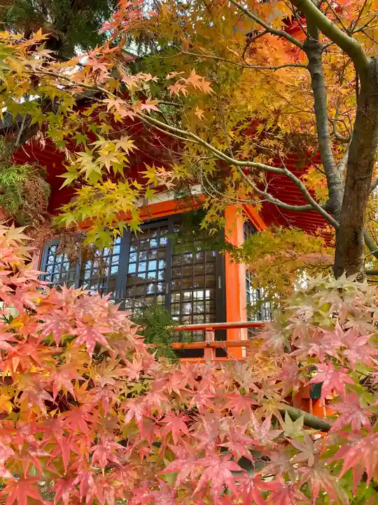 山城ゑびす神社の自然