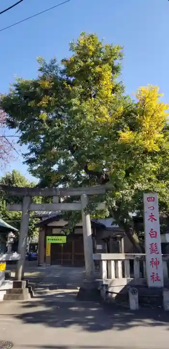 白髭神社の鳥居