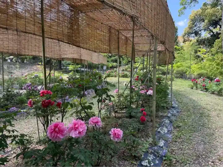 園城寺(三井寺)(滋賀県)