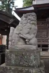 須賀神社の狛犬