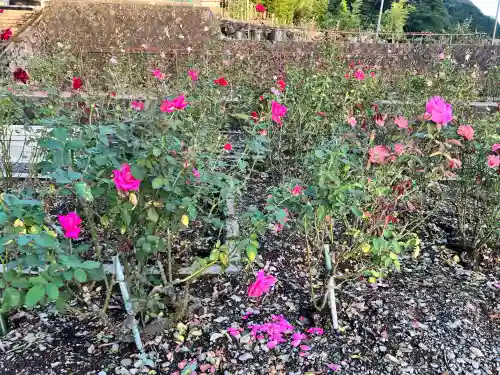 温泉神社の{uncategorized: "未分類", other: "その他", undefined: "問題あり", building: "その他建物", grave: "お墓", sacred_gate: "鳥居", guardian: "狛犬", statue: "像", buddha: "仏像", history: "歴史", nature: "自然", garden: "庭園", animal: "動物", pagoda: "塔", temizu: "手水舎", mountain_gate: "山門・神門", sanctuary: "本殿・本堂", subordinate: "末社・摂社", art: "芸術", scenery: "景色", jizo: "地蔵", ema: "絵馬", goshuin: "御朱印", omikuji: "おみくじ", items: "授与品その他", amulet: "お守り", goshuincho: "御朱印帳", eats: "食事", festival: "お祭り", votive_dance: "神楽", shichigosan: "七五三参", wedding: "結婚式", experience: "体験その他", initially: "初詣", around: "周辺", anti_infection: "感染症対策"}