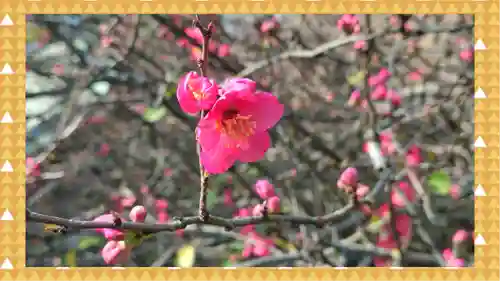 冠稲荷神社(群馬県)