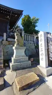 生石神社の狛犬