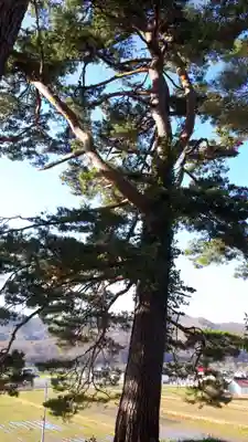 大江神社(北海道)