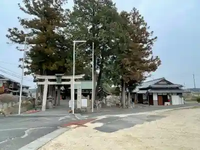 總社神社の{uncategorized: "未分類", other: "その他", undefined: "問題あり", building: "その他建物", grave: "お墓", sacred_gate: "鳥居", guardian: "狛犬", statue: "像", buddha: "仏像", history: "歴史", nature: "自然", garden: "庭園", animal: "動物", pagoda: "塔", temizu: "手水舎", mountain_gate: "山門・神門", sanctuary: "本殿・本堂", subordinate: "末社・摂社", art: "芸術", scenery: "景色", jizo: "地蔵", ema: "絵馬", goshuin: "御朱印", omikuji: "おみくじ", items: "授与品その他", amulet: "お守り", goshuincho: "御朱印帳", eats: "食事", festival: "お祭り", votive_dance: "神楽", shichigosan: "七五三参", wedding: "結婚式", experience: "体験その他", initially: "初詣", around: "周辺", anti_infection: "感染症対策"}