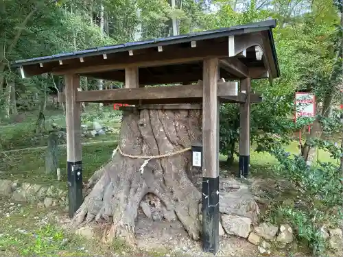 大原野神社(京都府)