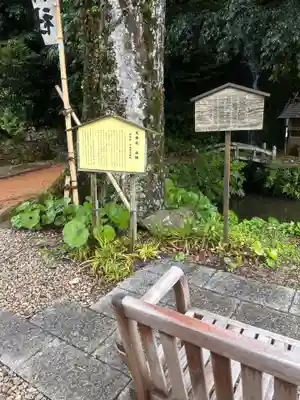 出雲大社北島国造館 出雲教(島根県)
