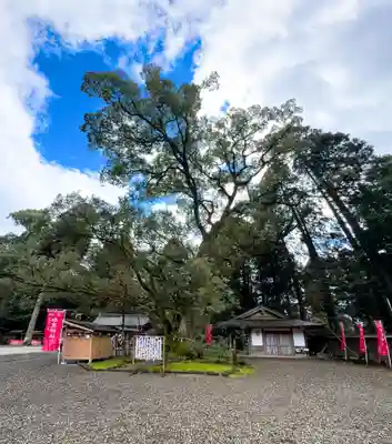 都農神社(宮崎県)