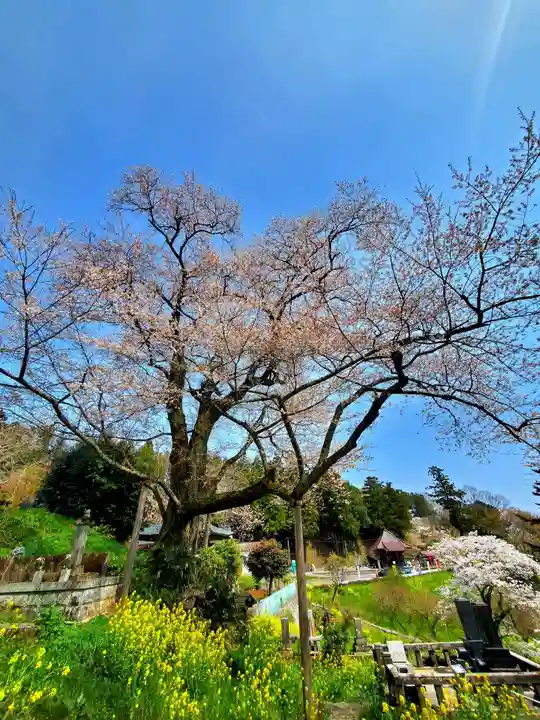 曹洞宗 永松山 龍泉寺(福島県)