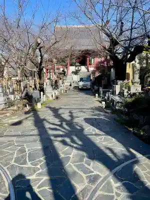 浄心寺(東京都)