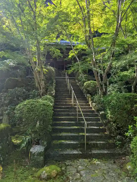 勝持寺(花の寺)(京都府)