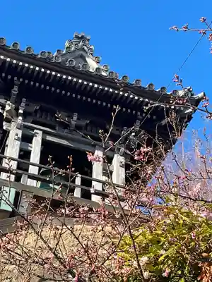 大船観音寺(神奈川県)