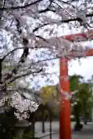 稲毛神社の自然