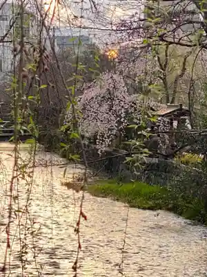 辰巳大明神の自然