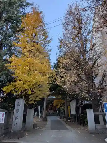 青山熊野神社(東京都)