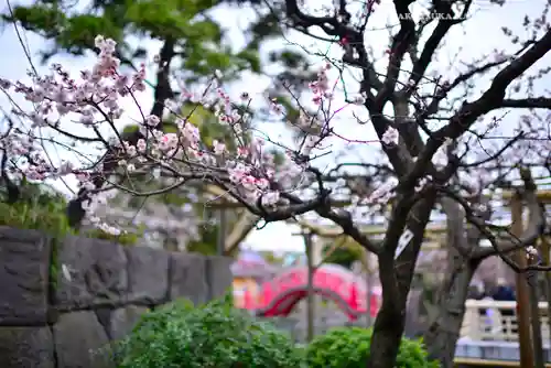 亀戸天神社(東京都)