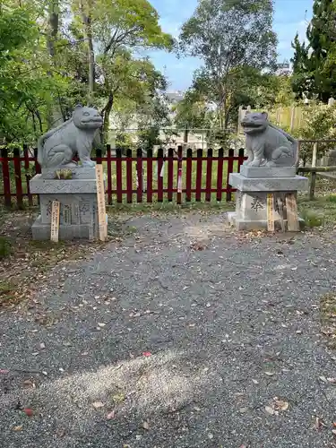 大江神社の狛犬