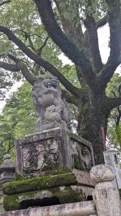八坂神社(祇園さん)の狛犬