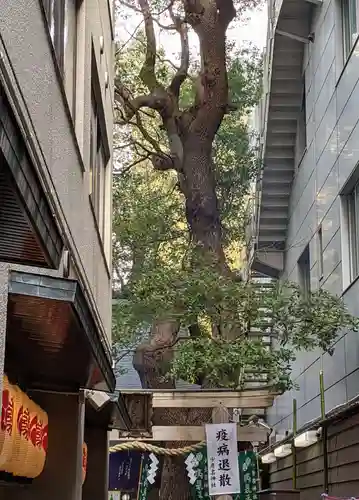 少彦名神社のその他建物