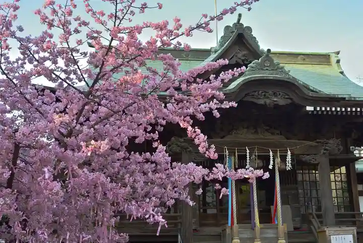 桜神宮(東京都)