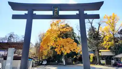 椋神社の鳥居