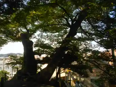 六代山不動院の自然