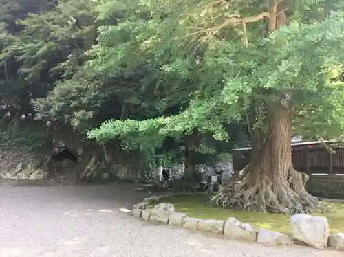 安房神社のその他建物