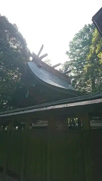 鷲神社の本殿・本堂