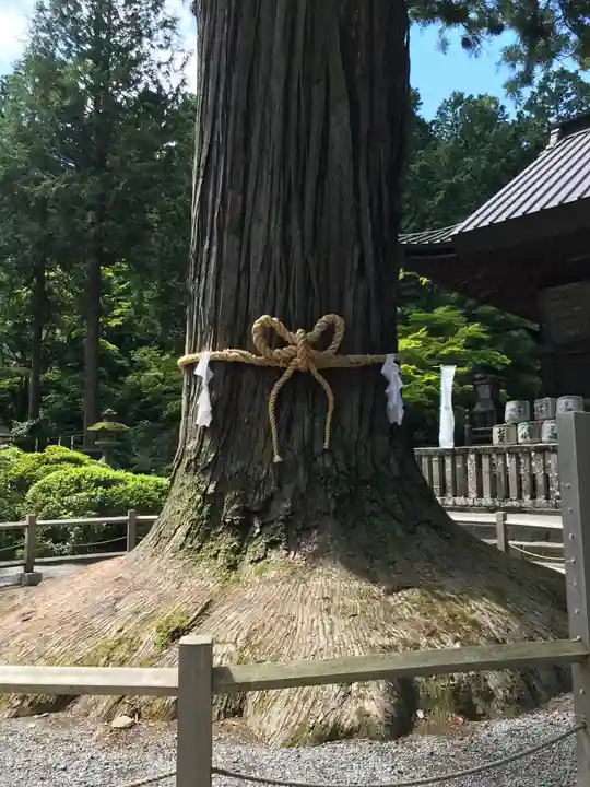 北口本宮冨士浅間神社のその他建物