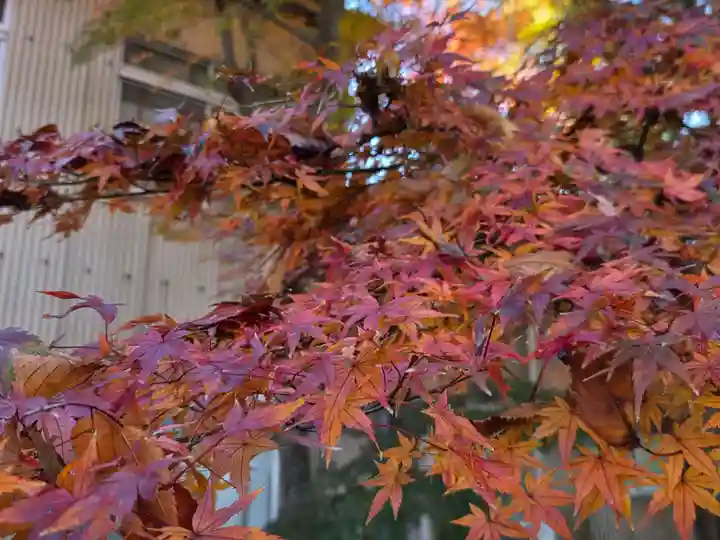稲荷神社(埼玉県)