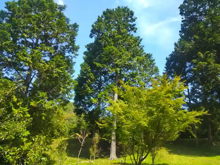 和氣神社(和気神社)の景色