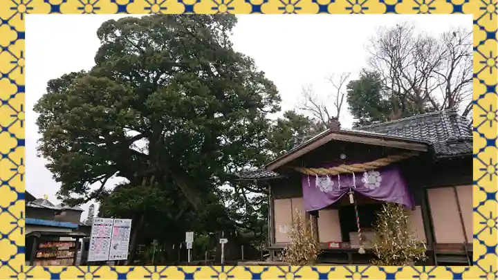 九重神社(埼玉県)