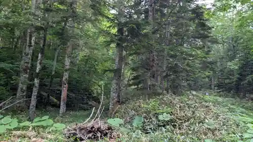 糠平神社の自然