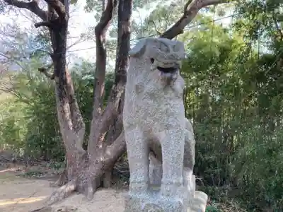 中厳前神社の狛犬
