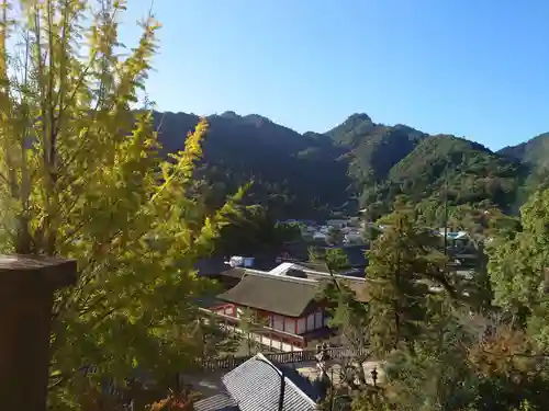 豊国神社 の景色