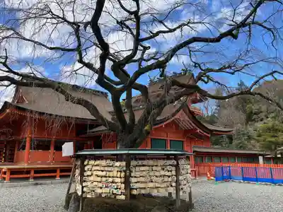 富士山本宮浅間大社(静岡県)