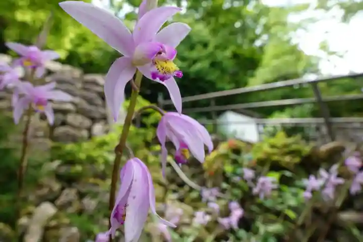 長谷寺(奈良県)