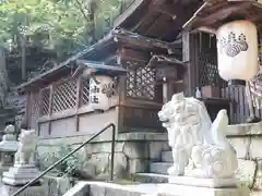 八神社の狛犬