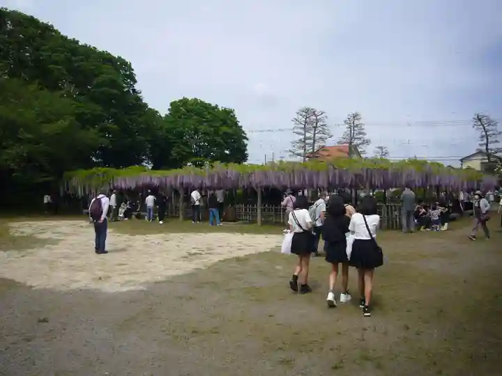 玉敷神社(埼玉県)