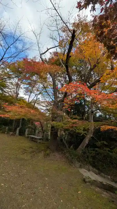 勝持寺(花の寺)(京都府)