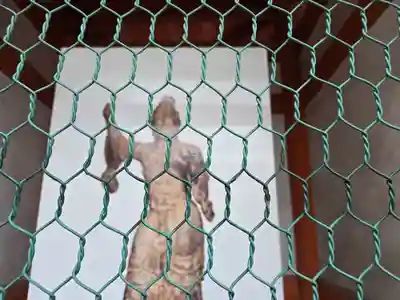 昆陽寺(兵庫県)