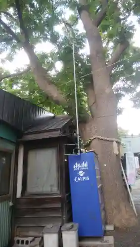 札幌諏訪神社のその他建物